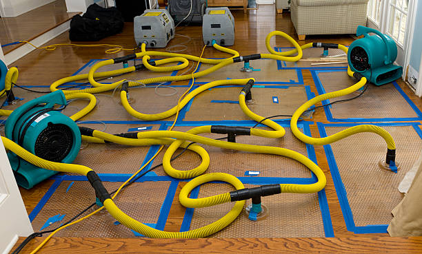 Professional Basement Flood Cleanup technician working in Catharpin, VA